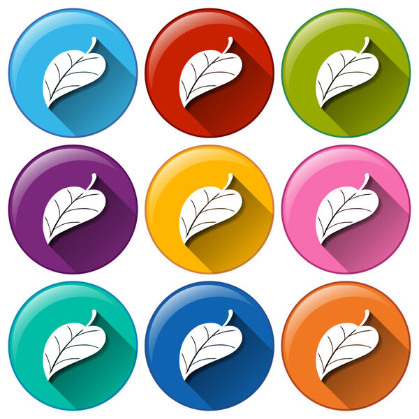 Круглые иконки с листьями
