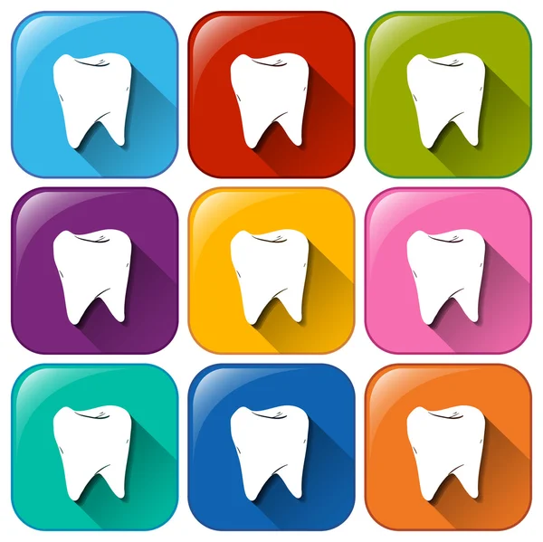 Tooth icons — Stock Vector