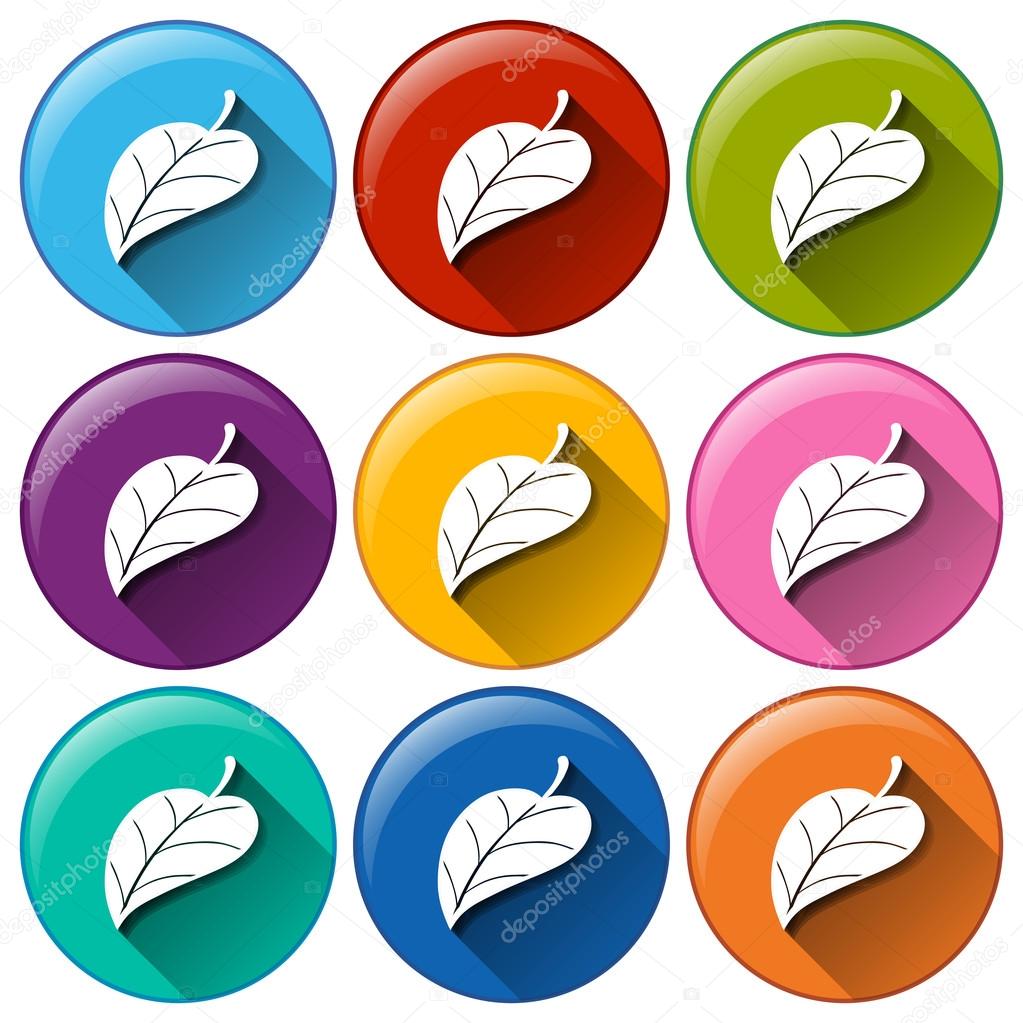 Round icons with leaves
