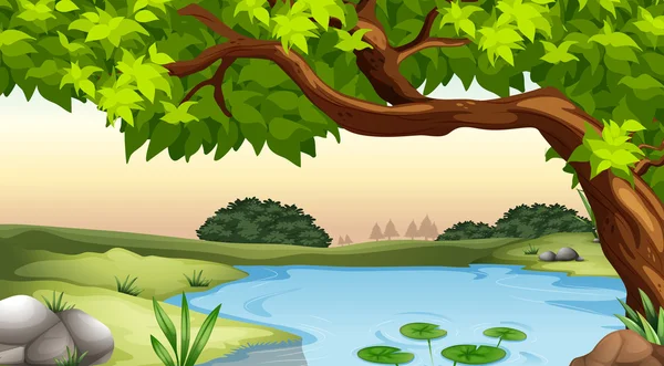 Pond — Stock Vector