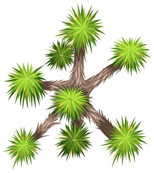 Yucca brevifolia — Stock vektor