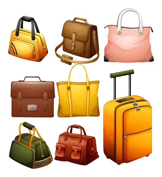 Different bags — Stock Vector