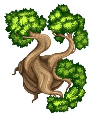 A topview of a bristlecone pine tree clipart