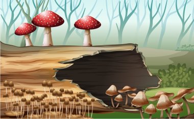A wood with mushrooms clipart