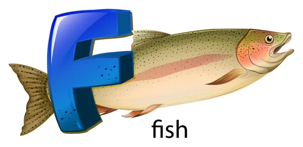 Una letra F para el pescado — Archivo Imágenes Vectoriales