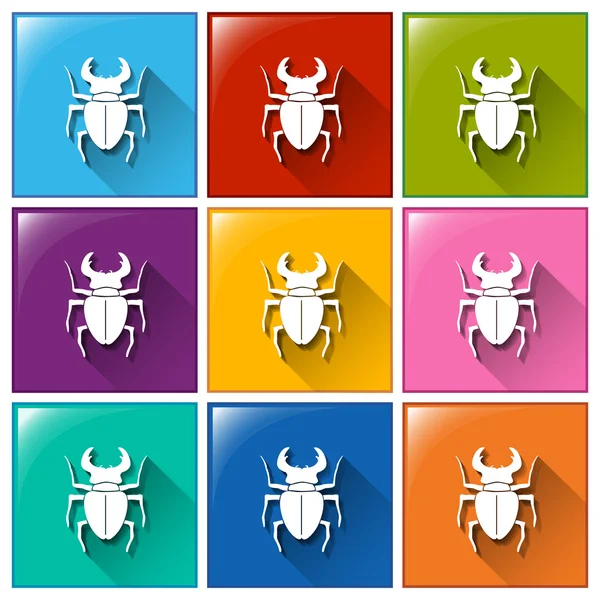 Boutons avec insectes — Image vectorielle