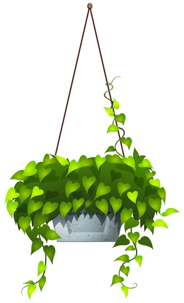 Una planta colgante — Vector de stock