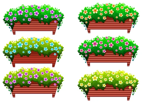 Кімнатні рослини з квітами — стоковий вектор