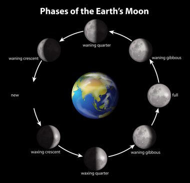 Phases of the Earth's Moon clipart