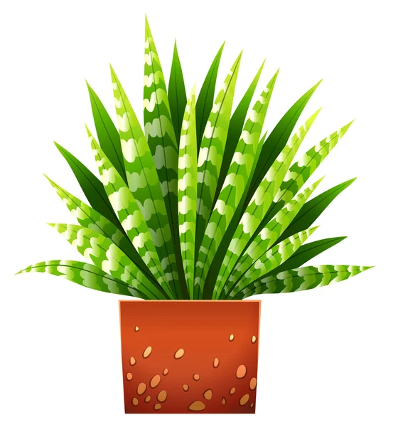 A houseplant with a pot — Stock Vector