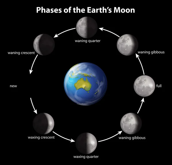 Fases da Lua da Terra — Vetor de Stock