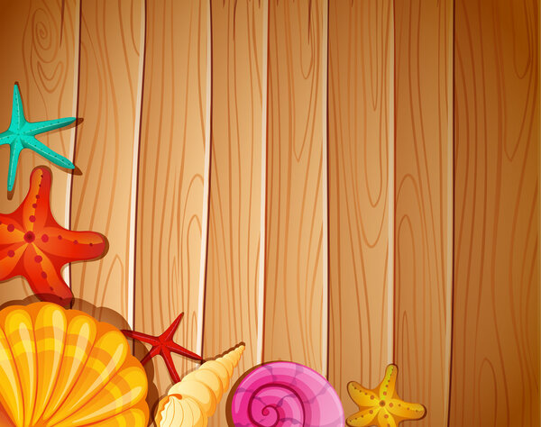 Стена с ракушками
