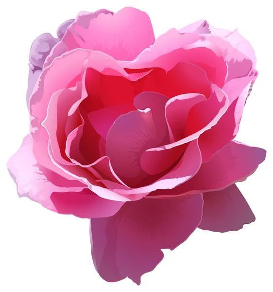 Une fleur en fleurs — Image vectorielle
