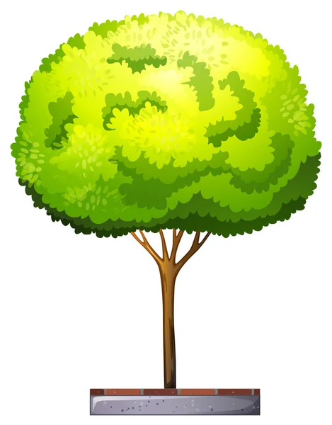 一棵树 — 图库矢量图片