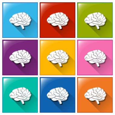 Beyin düğmeleriyle