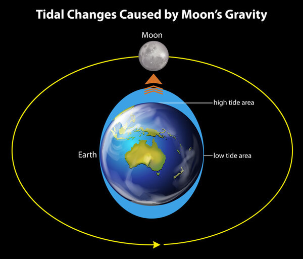 Приливные изменения
