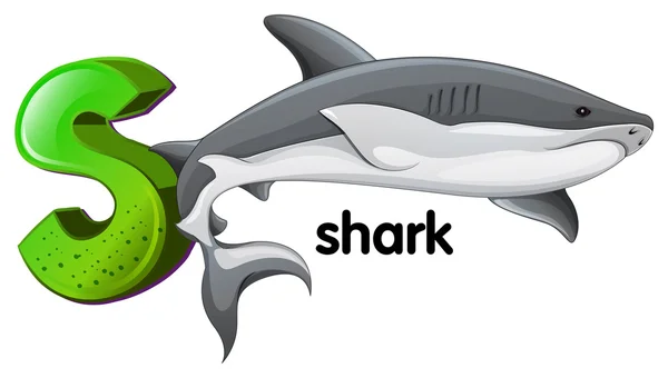 A letter S for shark — Stock Vector