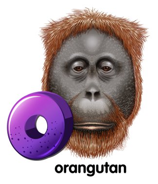 Orangutan için bir harf O