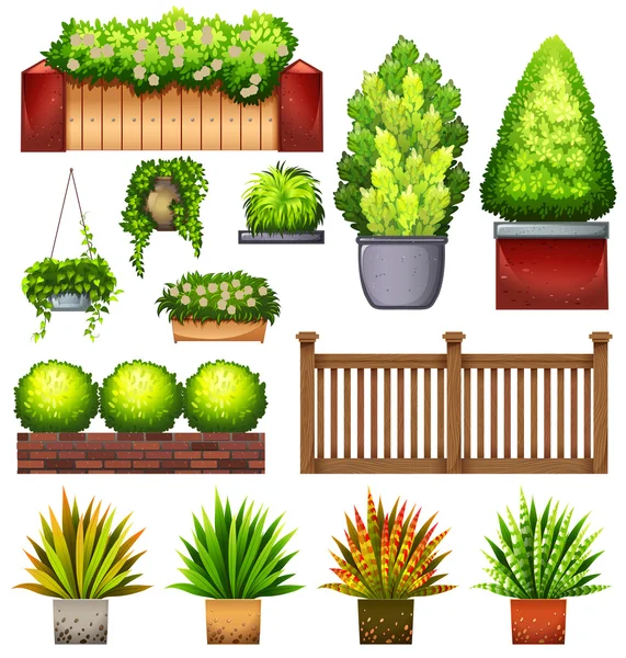 Conjunto de diferentes plantas — Archivo Imágenes Vectoriales