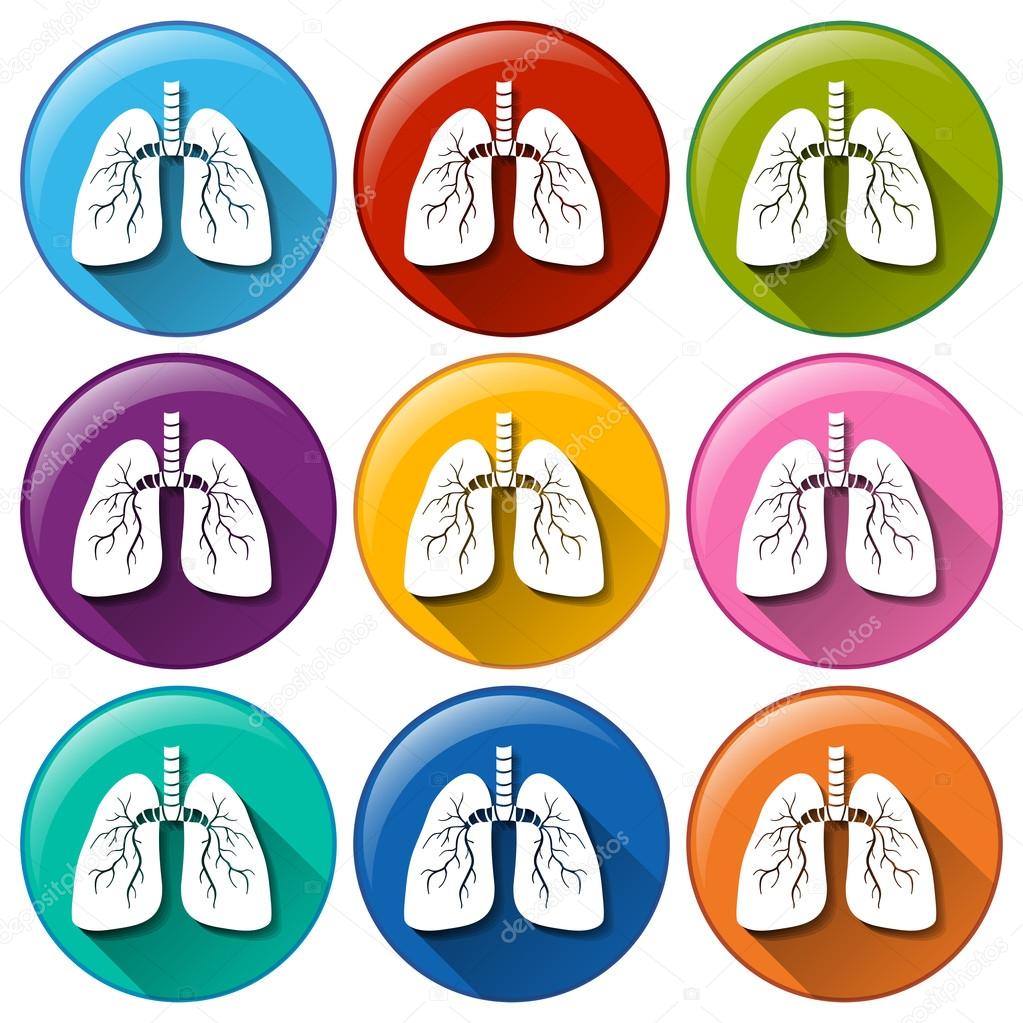 Buttons with lung organ