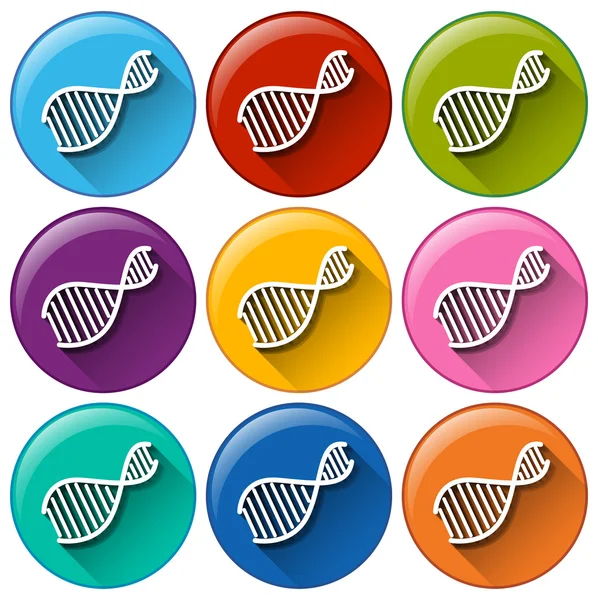 Botones con símbolos de ADN — Vector de stock