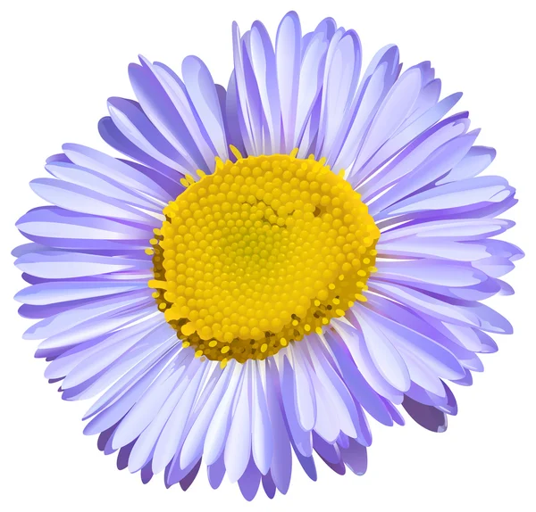 大きな花 — ストックベクタ