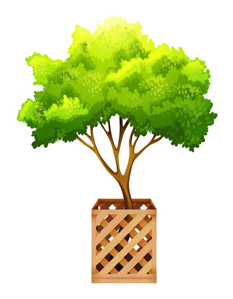 Una planta verde decorativa — Vector de stock