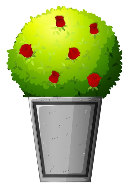 Une plante aux fleurs rouges — Image vectorielle