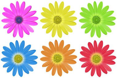Colourful flowers clipart