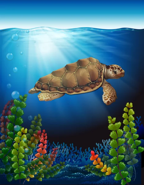 En havssköldpadda under vattnet — Stock vektor