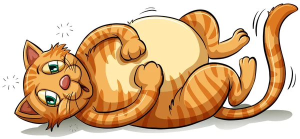 Un gato gordo juguetón — Vector de stock