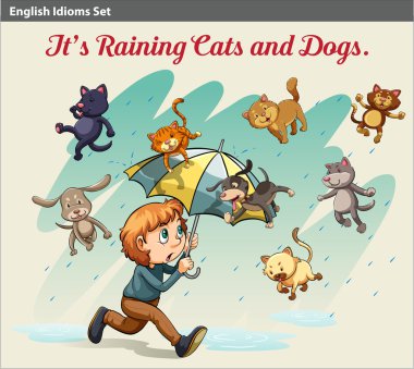 Bir yağmur hayvanlar ile gösterilen bir deyim