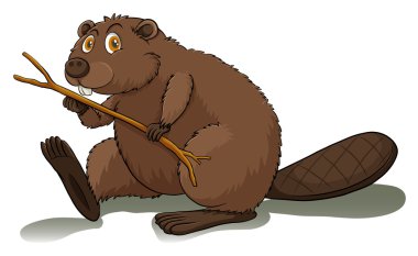 Istekli beaver