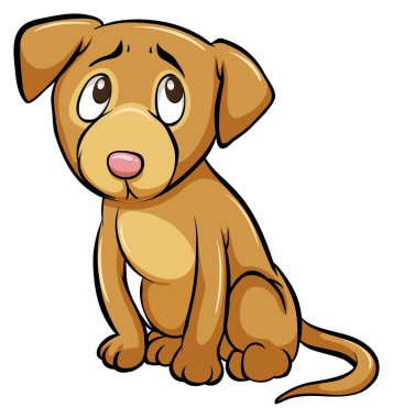 Evcilleştirilmeyi köpek
