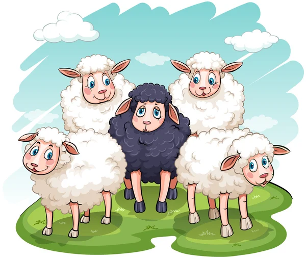 Five sheeps — Stock Vector