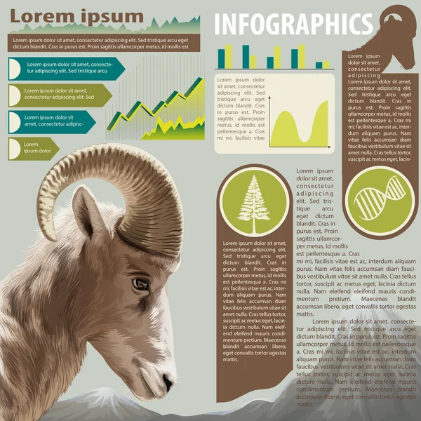 Een infographics van een dier — Stockvector