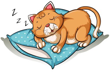 Bir kedi kestiriyor.