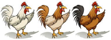 Horozlar grup
