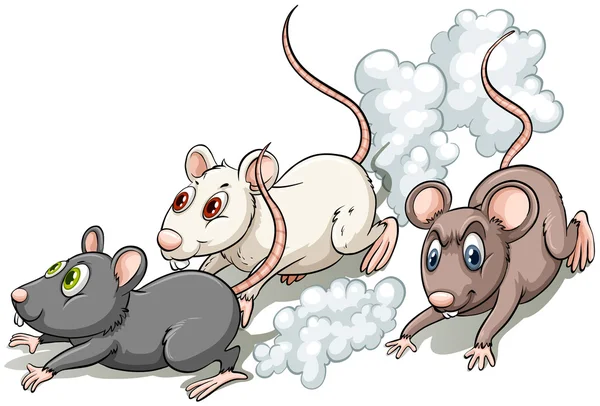 Three rats — Stock Vector