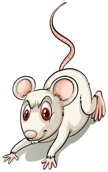 Ratón pequeño enojado — Vector de stock