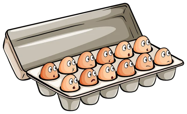 Ett dussin ägg — Stock vektor