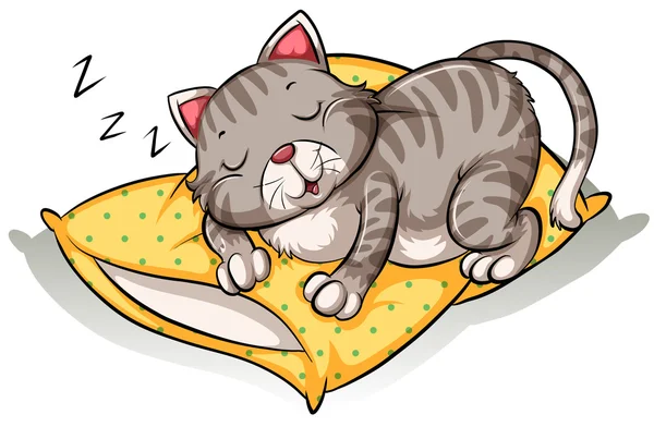猫睡在枕头上 — 图库矢量图片