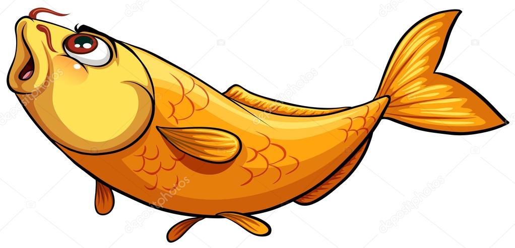 Yellow big fish