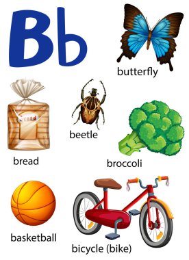 B harfiyle başlayan şeyler