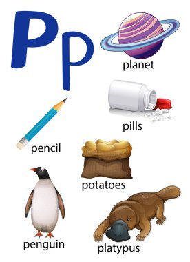 P harfi ile başlayan şeyler