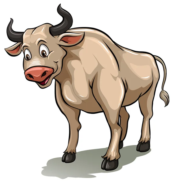 Uma vaca macho —  Vetores de Stock