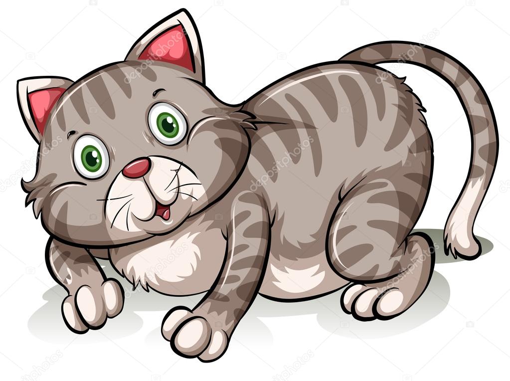 Fat Gray Cat Stock Vector By ©Blueringmedia 67140207