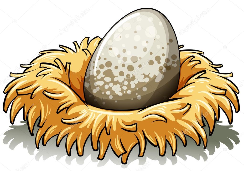 Nest with an egg
