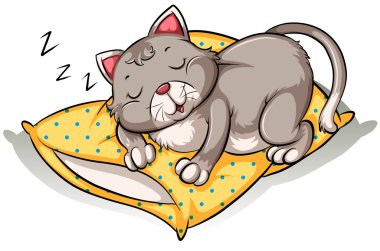 Kedi kestiriyor.