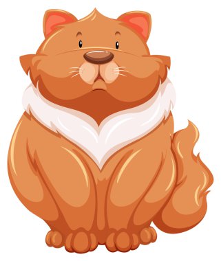 Şişko Kedi